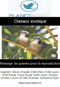 Capture d’écran 2023-04-08 1059402